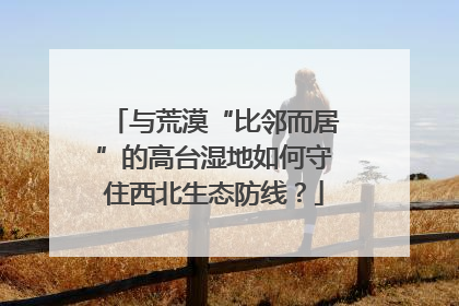 与荒漠“比邻而居”的高台湿地如何守住西北生态防线？