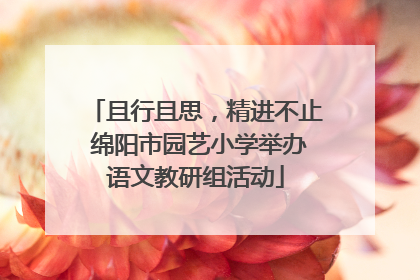 且行且思，精进不止 绵阳市园艺小学举办语文教研组活动