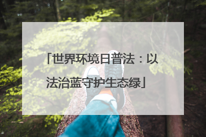 世界环境日普法：以法治蓝守护生态绿