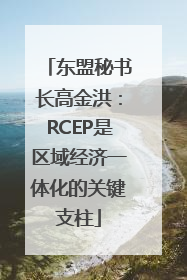 东盟秘书长高金洪：RCEP是区域经济一体化的关键支柱