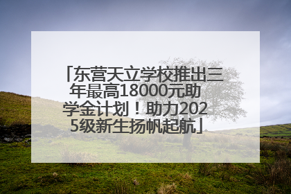 东营天立学校推出三年最高18000元助学金计划！助力2025级新生扬帆起航