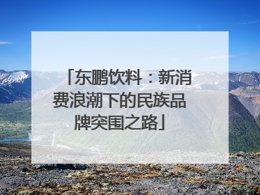 东鹏饮料：新消费浪潮下的民族品牌突围之路