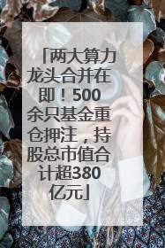 两大算力龙头合并在即！500余只基金重仓押注，持股总市值合计超380亿元