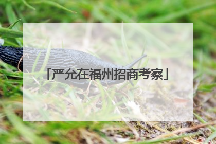 严允在福州招商考察