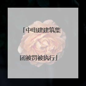 中电建建筑集团被罚被执行
