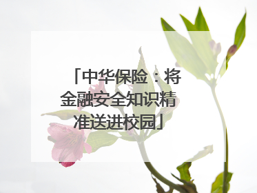 中华保险：将金融安全知识精准送进校园