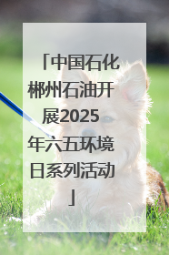 中国石化郴州石油开展2025年六五环境日系列活动