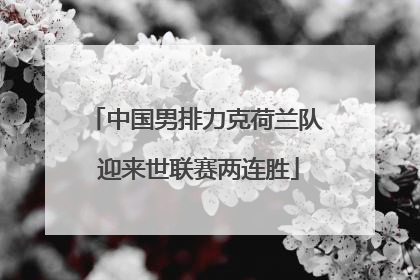 中国男排力克荷兰队 迎来世联赛两连胜