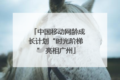 中国移动网龄成长计划“时光阶梯” 亮相广州
