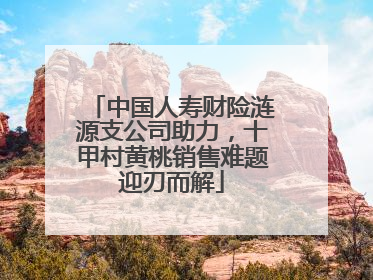 中国人寿财险涟源支公司助力，十甲村黄桃销售难题迎刃而解