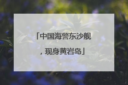中国海警东沙舰，现身黄岩岛