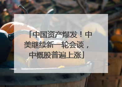 中国资产爆发！中美继续新一轮会谈，中概股普遍上涨