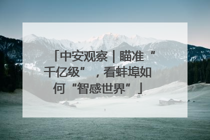 中安观察｜瞄准“千亿级”，看蚌埠如何“智感世界”