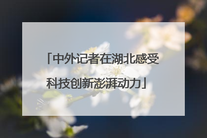 中外记者在湖北感受科技创新澎湃动力