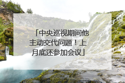 中央巡视期间他主动交代问题！上月底还参加会议