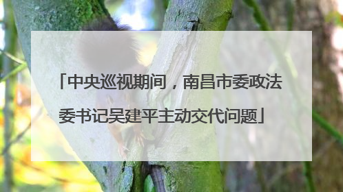 中央巡视期间，南昌市委政法委书记吴建平主动交代问题