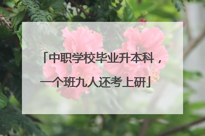 中职学校毕业升本科，一个班九人还考上研