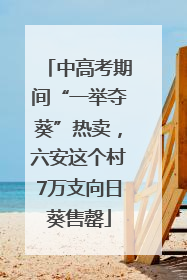 中高考期间“一举夺葵”热卖，六安这个村7万支向日葵售罄