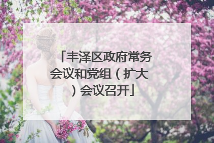 丰泽区政府常务会议和党组（扩大）会议召开