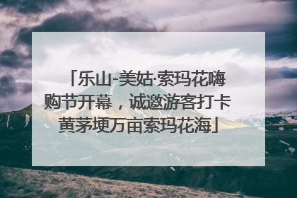 乐山-美姑·索玛花嗨购节开幕，诚邀游客打卡黄茅埂万亩索玛花海