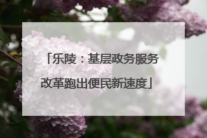 乐陵：基层政务服务改革跑出便民新速度