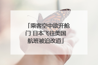 乘客空中欲开舱门 日本飞往美国航班被迫改道