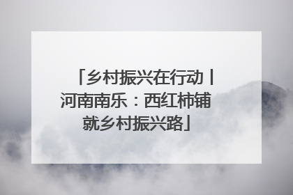 乡村振兴在行动丨河南南乐：西红柿铺就乡村振兴路