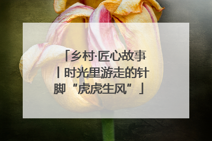 乡村·匠心故事丨时光里游走的针脚“虎虎生风”