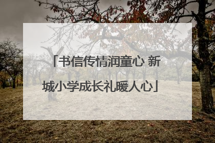 书信传情润童心 新城小学成长礼暖人心