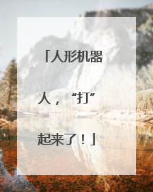 人形机器人，“打”起来了！