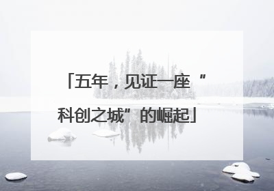 五年，见证一座“科创之城”的崛起