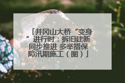 井冈山大桥“变身”进行时：拆旧建新同步推进 多举措保障汛期施工（图）