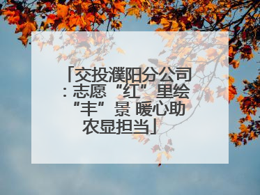 交投濮阳分公司：志愿“红”里绘“丰”景 暖心助农显担当