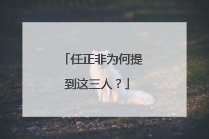 任正非为何提到这三人？