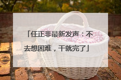 任正非最新发声：不去想困难，干就完了