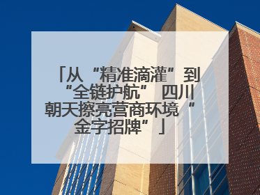 从“精准滴灌”到“全链护航” 四川朝天擦亮营商环境“金字招牌”