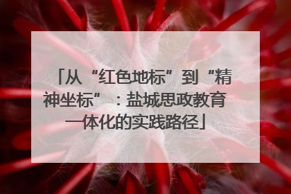 从“红色地标”到“精神坐标”：盐城思政教育一体化的实践路径