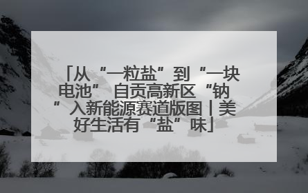 从“一粒盐”到“一块电池” 自贡高新区“钠”入新能源赛道版图丨美好生活有“盐”味