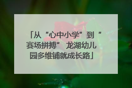从“心中小学”到“赛场拼搏” 龙湖幼儿园多维铺就成长路