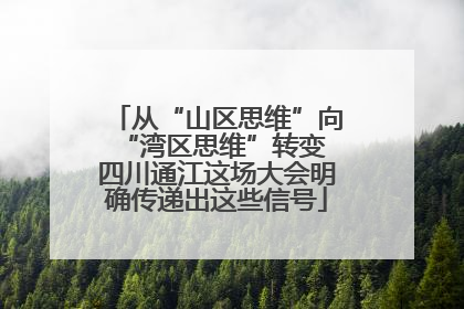 从“山区思维”向“湾区思维”转变 四川通江这场大会明确传递出这些信号