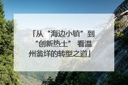 从“海边小镇”到“创新热土” 看温州翁垟的转型之道
