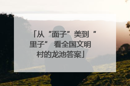 从“面子”美到“里子” 看全国文明村的龙池答案