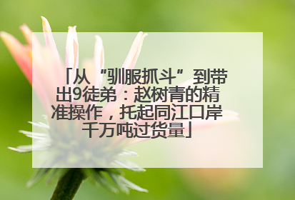 从“驯服抓斗”到带出9徒弟：赵树青的精准操作，托起同江口岸千万吨过货量