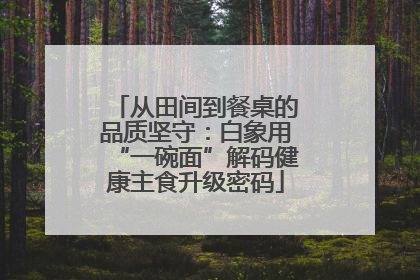 从田间到餐桌的品质坚守：白象用“一碗面”解码健康主食升级密码