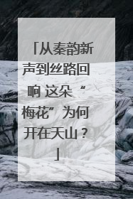 从秦韵新声到丝路回响 这朵“梅花”为何开在天山？