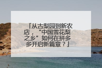从古梨园到新农店，“中国雪花梨之乡”如何在拼多多开启新篇章？