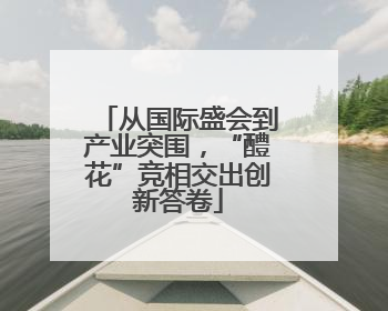 从国际盛会到产业突围，“醴花”竞相交出创新答卷