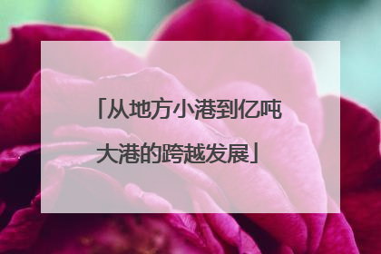 从地方小港到亿吨大港的跨越发展
