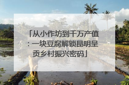 从小作坊到千万产值：一块豆腐解锁昆明呈贡乡村振兴密码