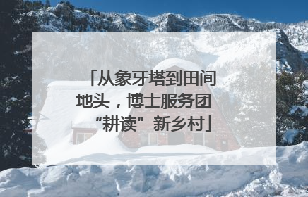 从象牙塔到田间地头，博士服务团“耕读”新乡村